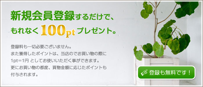 新規会員登録で100ポイントプレゼント